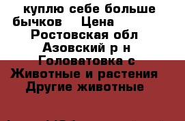 куплю себе больше бычков  › Цена ­ 15 000 - Ростовская обл., Азовский р-н, Головатовка с. Животные и растения » Другие животные   
